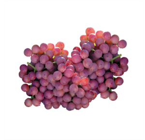 Viinamari Red Globe, 1 kg
